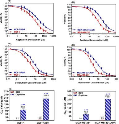 Coptisine enhances the sensitivity of chemoresistant breast cancer cells by inhibiting the function and expression of ABC transporters